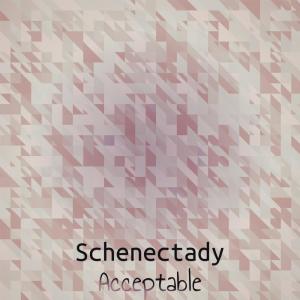 Various的专辑Schenectady Acceptable