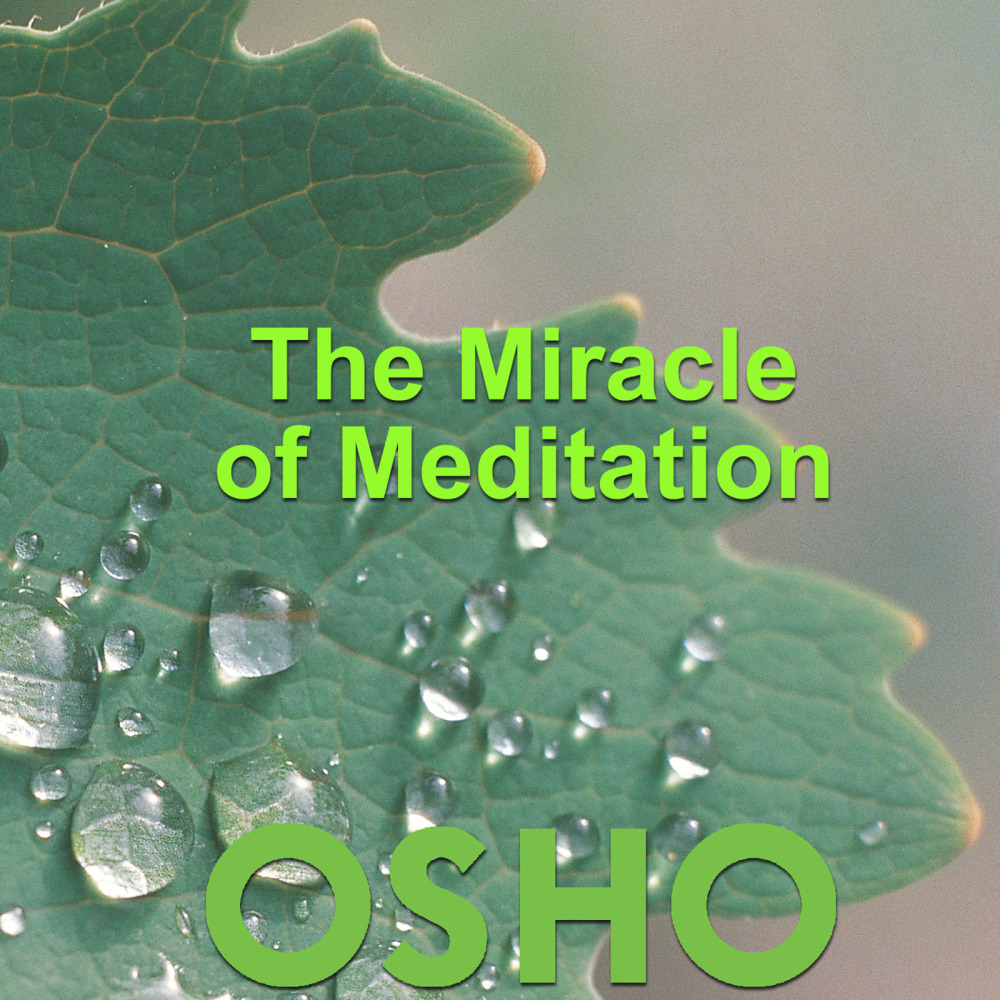 The Miracle of Meditation