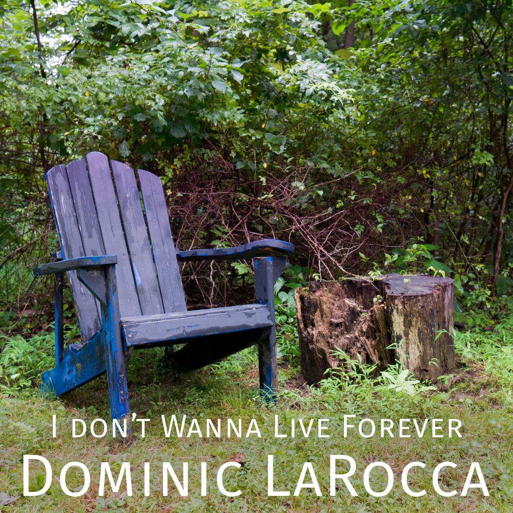 I Don't Wanna Live Forever