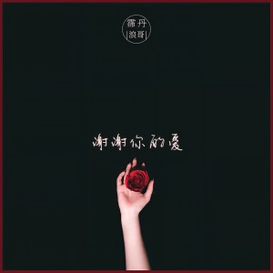 Album 谢谢你的爱 from 霈丹(浪哥)