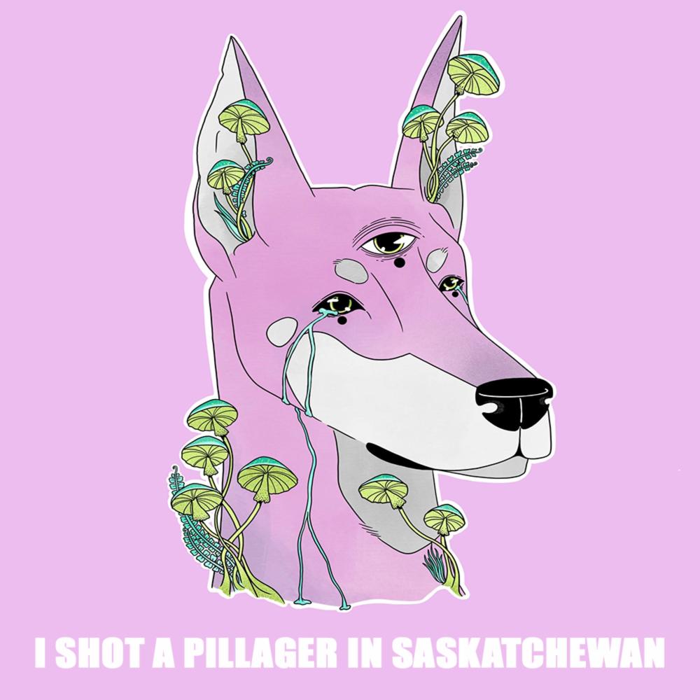 I Shot a Pillager in Saskatchewan (Explicit)