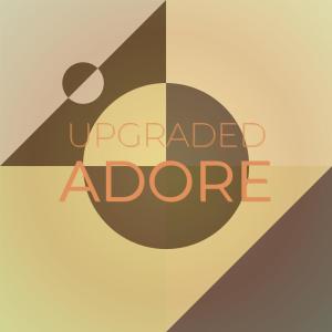 Various Artists的專輯Upgraded Adore