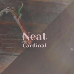 Album Neat Cardinal from Various