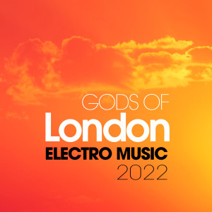 Listen to Wakeup Call (D. Lewis & Emix Remix) song with lyrics from COMMANDER YABLO