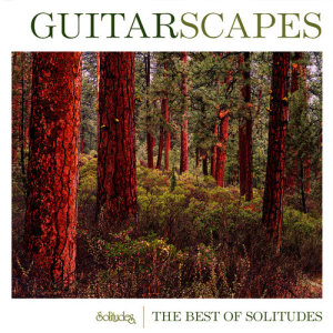 ดาวน์โหลดและฟังเพลง Clean and Clear พร้อมเนื้อเพลงจาก Dan Gibson's Solitudes