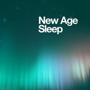 ดาวน์โหลดและฟังเพลง Any Other Name พร้อมเนื้อเพลงจาก New Age Sleep