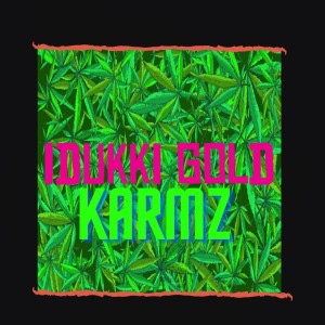 Listen to Idukki Gold song with lyrics from Karmz