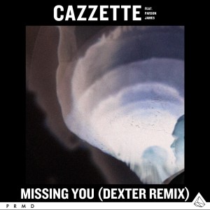 ดาวน์โหลดและฟังเพลง Missing You (Dexter Remix Extended) พร้อมเนื้อเพลงจาก CAZZETTE