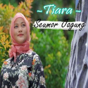 Dengarkan SEUMUR JAGUNG lagu dari Tiara dengan lirik