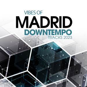Various的专辑Vibes Of Madrid Downtempo Traxx 2023
