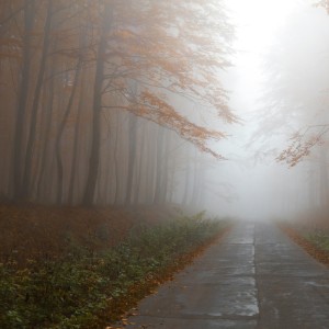 The PH的專輯Come Walk with me