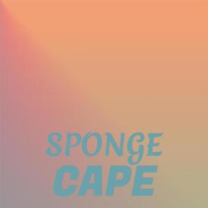 อัลบัม Sponge Cape ศิลปิน Various