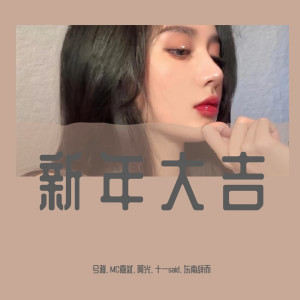 Listen to 想你的时候问月亮（DJ版） (DJ版) song with lyrics from 兮雅