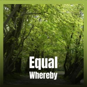 Listen to Similar Pee song with lyrics from Raset Moner