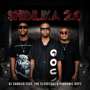 Album shibilika 2.0 oleh The Elevatorz