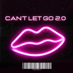 Album Can’t Let Go 2.0 from Icegirl Jonez
