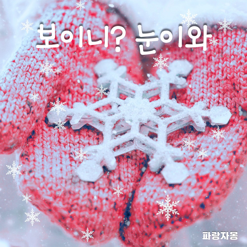 보이니? 눈이와