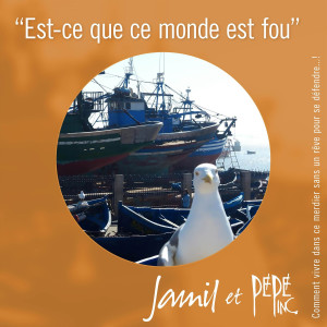 JAMIL的專輯Est-ce que ce monde est fou?