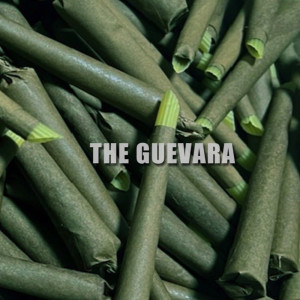 Listen to mybro myfamily song with lyrics from Guevara