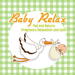 Listen to Restful Night song with lyrics from Nature Music Pregnancy Academy
