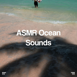 Album "!!! ASMR Ocean Sounds !!!" oleh Relajación