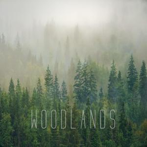 Listen to Woodlands song with lyrics from Poolz