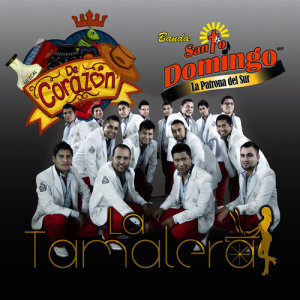 ดาวน์โหลดและฟังเพลง Volvi a Nacer พร้อมเนื้อเพลงจาก Banda Santo Domingo
