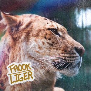 Listen to Liger song with lyrics from Frook