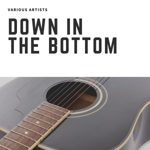 Album Down In the Bottom from Various
