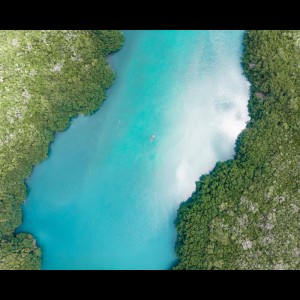Dengarkan The Great lagu dari Deep Sleep dengan lirik