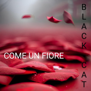 Album COME UN FIORE from Black Cat
