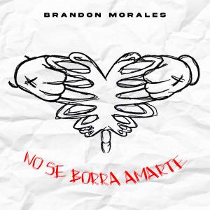 Brandon Morales的專輯No Se Borra Amarte (Explicit)