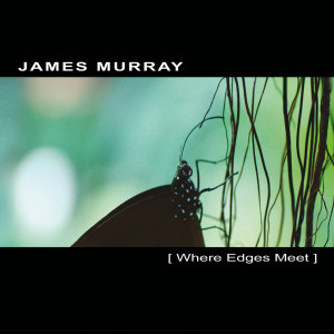 收聽James Murray的Empty Spaces歌詞歌曲