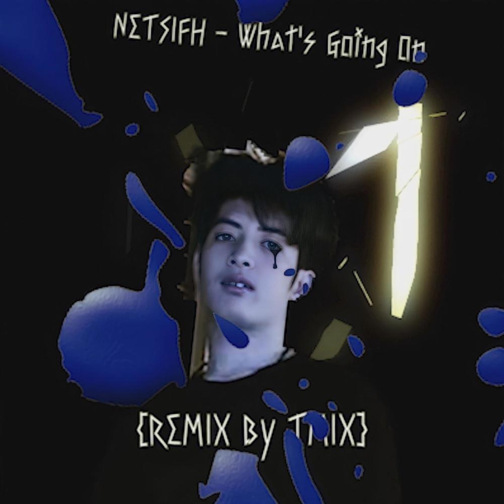 NETFISH - What's going on (REMIX)