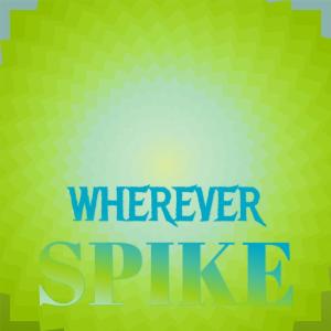 Listen to Practice Whosever song with lyrics from Mimon Yary