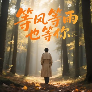 Album 等风等雨也等你（男版） oleh 江都子