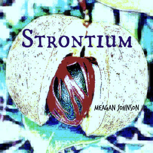 Meagan Johnson的專輯Strontium