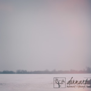 Album Dormant (Movement 1 Through 7) oleh The Flashbulb