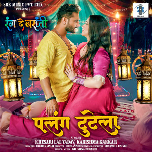 Listen to Palang Tutela (From "Rang De Basanti") song with lyrics from Khesari Lal Yadav