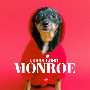 Listen to Monroe (Sul44) (Explicit) song with lyrics from Lukas Loko