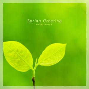 Album Spring Greeting from Harmonious
