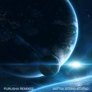 Album Purusha Remixes from 