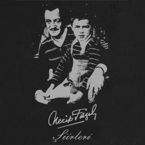 Listen to Zeybeğin Ölümü song with lyrics from Tayfun Talipoglu