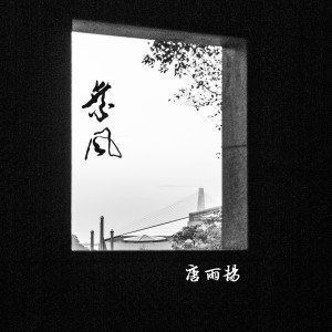 Listen to 南看台回忆录 song with lyrics from 唐雨扬