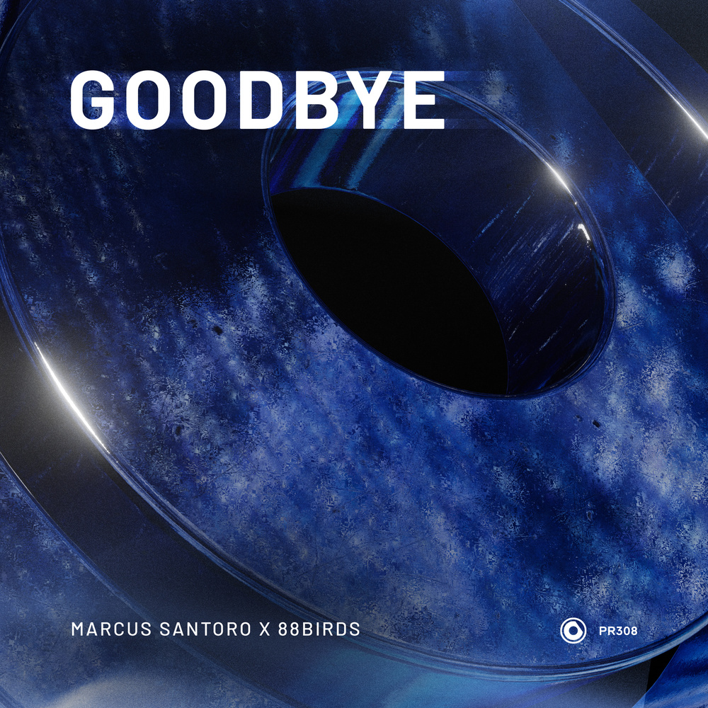 Goodbye (Extended Mix)