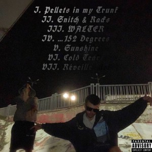 ดาวน์โหลดและฟังเพลง Cold Tears (Explicit) พร้อมเนื้อเพลงจาก Ghostface