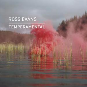 Listen to Temperamental (Vibe Killers Remix) song with lyrics from Ross Evans
