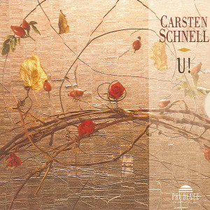 Listen to U Verture song with lyrics from Carsten Schnell