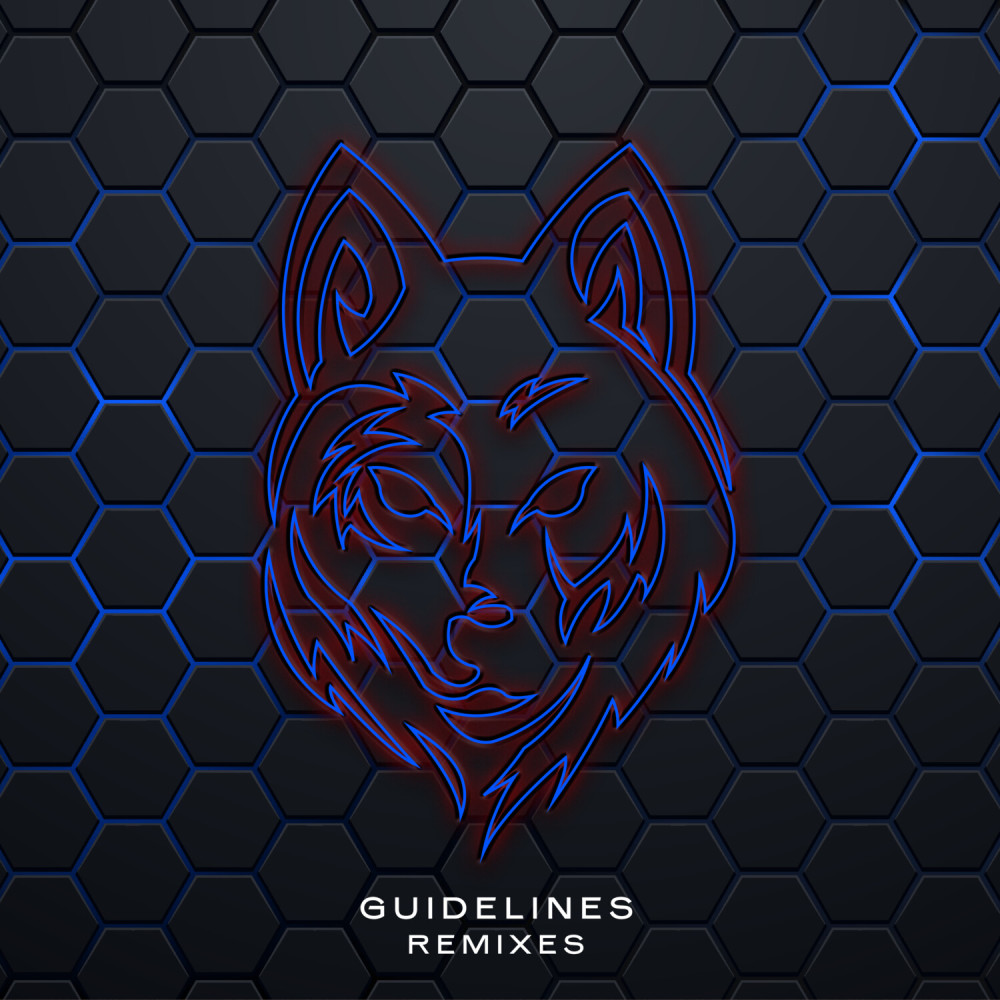 Guidelines (Remixes) (Explicit)