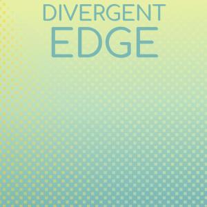 Various的专辑Divergent Edge